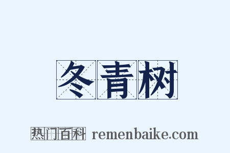 冬青树是什么意思的图片